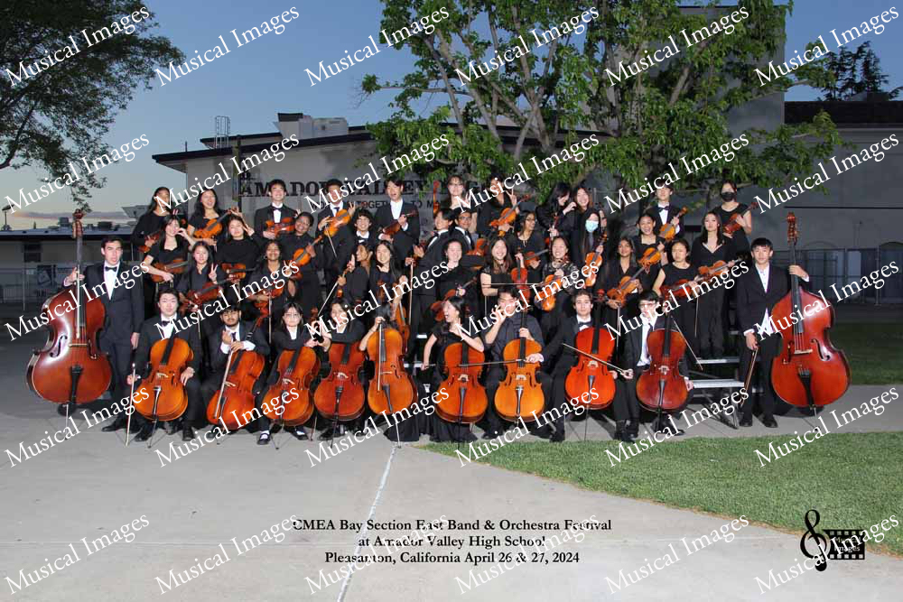 Musical Images